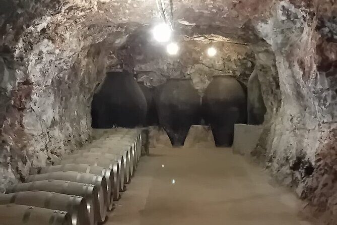 Madrid Winery Tour with Tasting and Sommelier Guide - Who this Madrid winery tour is best for