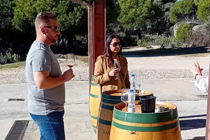 Madrid Winery Tour with Tasting and Sommelier Guide - Stop 2 in San Martín de Valdeiglesias: vines, winemaking, and the tasting