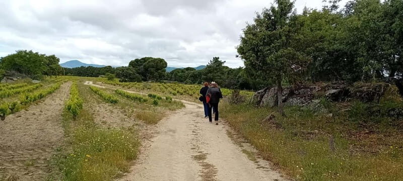 Madrid Winery Tour with Tasting & Sommelier Guide - Who should book this tour