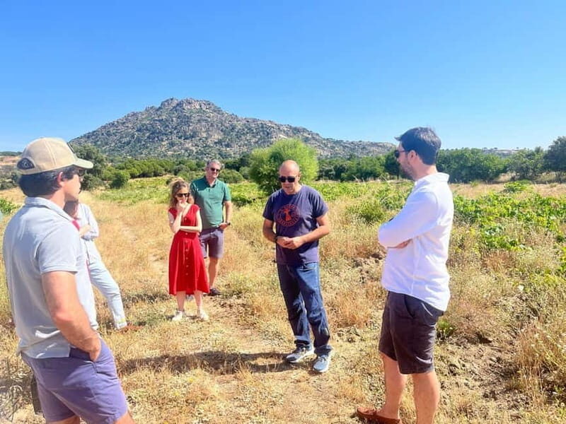 Madrid Winery Tour with Tasting & Sommelier Guide - Buying wine without the awkward part