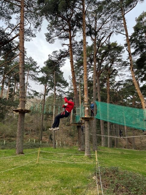 Madrid: Zip line circuits high in the trees - Getting High in a Biosphere Reserve Forest Near Madrid