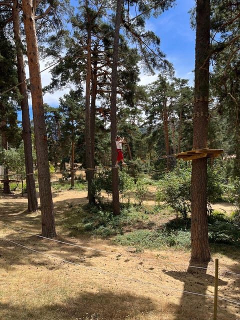 Madrid: Zip line circuits high in the trees - Zip Lines Plus Playful Aerial Games: More Than One Trick