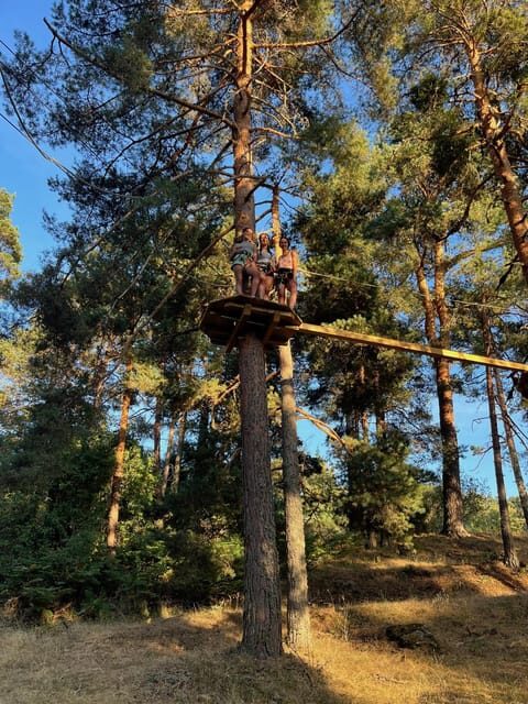 Madrid: Zip line circuits high in the trees - Who This Is Best For (and Who Should Skip It)