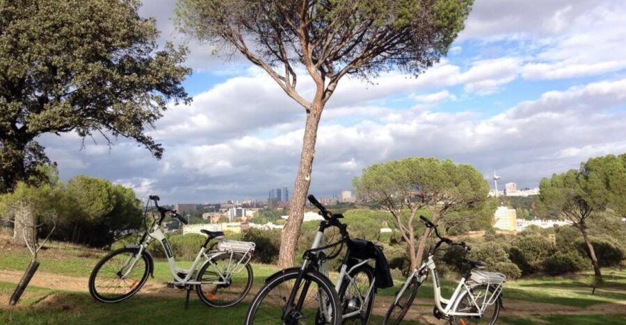 Madrid’s River Side & Casa de Campo Electric Bike Tour - Key highlights I’d plan around