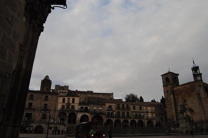 Medieval Castles, Wineries Experience with Tasting from Madrid - Getting to Your Winery: The Morning Minibus Ride