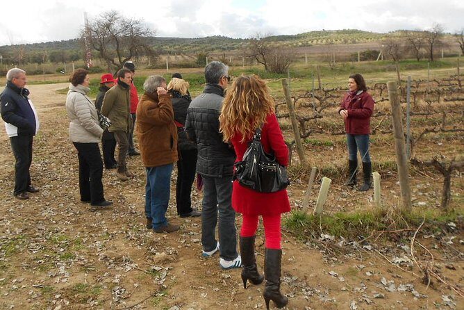 Medieval Castles, Wineries Experience with Tasting from Madrid - Afternoon Choice: Castles, Medieval Towns, or Cathedrals