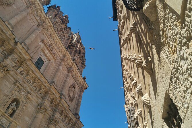 Must see Salamanca Walking Tour (could be billingual) - Meeting point at Plaza Mayor, then a clean route through town
