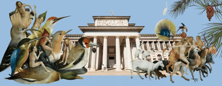 Prado Museum for kids & families: Private fun tour - The “Not Just the Usual Names” Moment: Sofonisba Anguissola