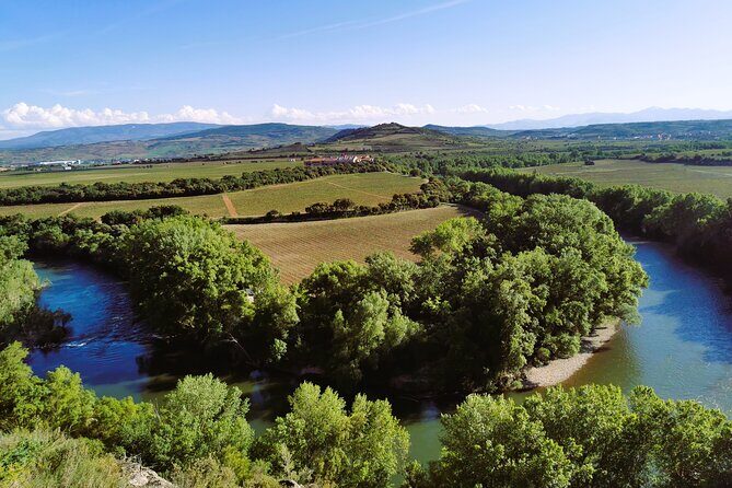 Premium Tour to Ribera del Duero with Wnologist Guide - Quick Highlights