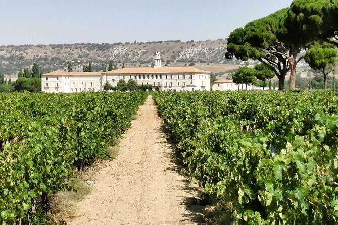 Premium Tour to Ribera del Duero with Wnologist Guide - Start In Madrid Early: Pickup, Timing, And Why 9 Hours Works