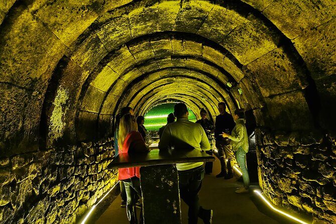 Premium Tour to Ribera del Duero with Wnologist Guide - Gumiel Del Mercado: Medieval Underground Cellars And A Lunch With Wine-Making Traces