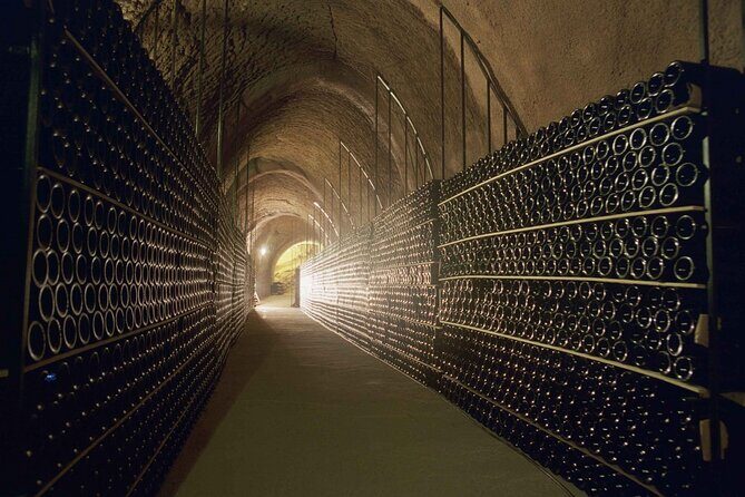 Premium Tour to Ribera del Duero with Wnologist Guide - Enrique The Winologist Guide: Why The Explanations Matter As Much As The Sips