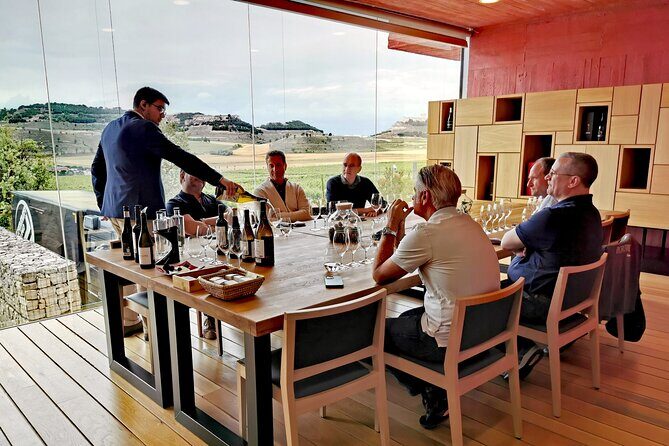 Premium Tour to Ribera del Duero with Wnologist Guide - Who This Ribera Del Duero Day Trip Suits Best