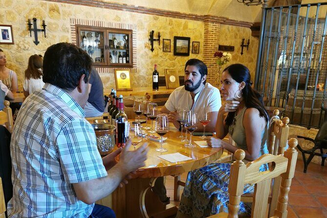 Premium Tour to Ribera del Duero with Wnologist Guide - Should You Book This Premium Ribera Tour?