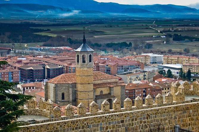 Private 3-hour Walking Tour of Avila with official tour guide - Plaza Mercado Chico: The City’s Inner Square
