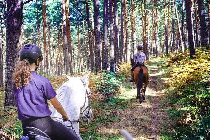Private Horse Ride in Madrid natural park reserve - Key highlights you’ll feel on the trail