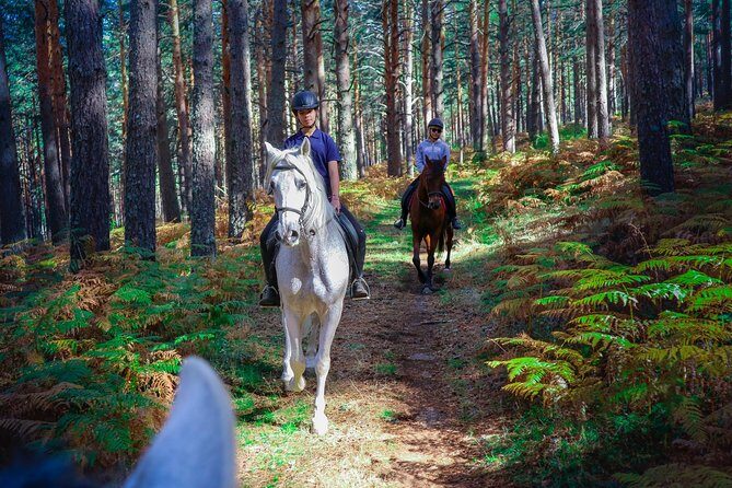 Private Horse Ride in Madrid natural park reserve - Sierra del Guadarrama by horse: why this ride hits different