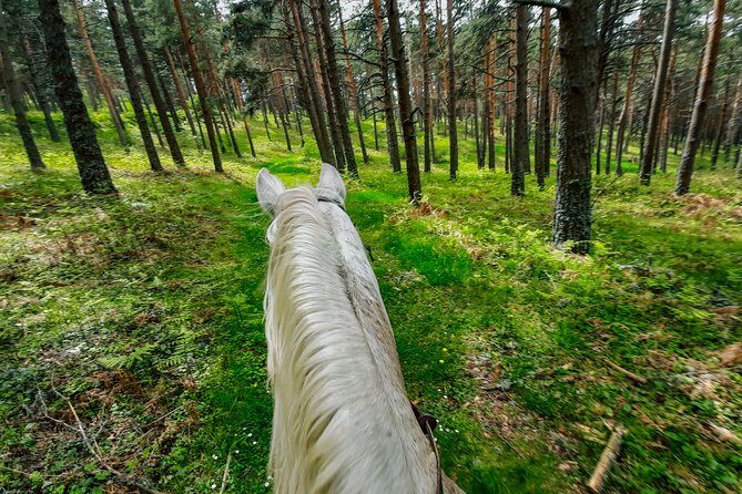 Private Horse Ride in Madrid natural park reserve - Riding options that adapt to your level (and why that matters)