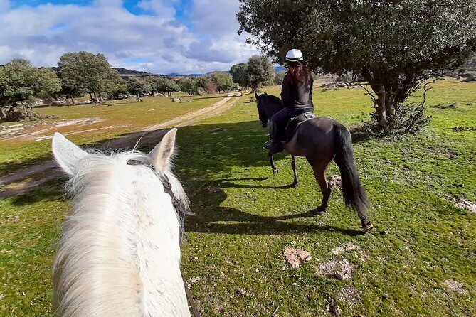 Private Horse Ride in Madrid natural park reserve - What Ignacio explains: ecology and history without boredom