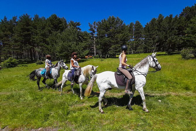 Private Horse Ride in Madrid natural park reserve - Starting at Los Molinos-Guadarrama and getting matched fast