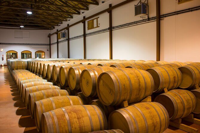 Private Tour & Lunch Of Underground Winery & Countryside Estate - Bodegas Peral: underground clay jars and a real wine lesson