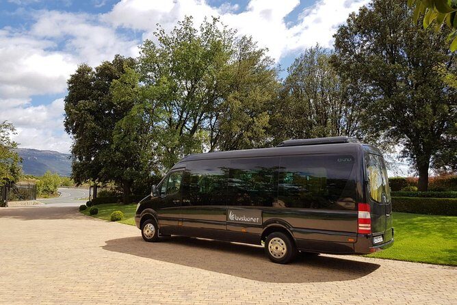 Private Transfer Madrid Barajas Airport to Madrid in Vans up to 7 Passengers - Price and Value: Why This Can Be Cheaper Than It Seems