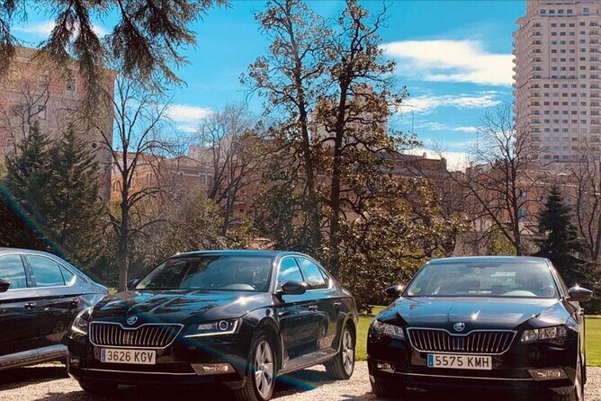 Private Transportation from Madrid Airport to City Center - Auro at the Wheel: What the Driver Experience Feels Like