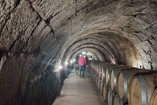 Private Wine Tasting And Visit Tour in Ribera Duero - The Wine Tasting Format: What 3 Wines Per Winery Really Means