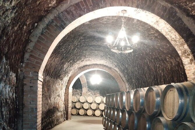Private Wine Tasting And Visit Tour in Ribera Duero - Guide and Driver: A Style You’ll Notice