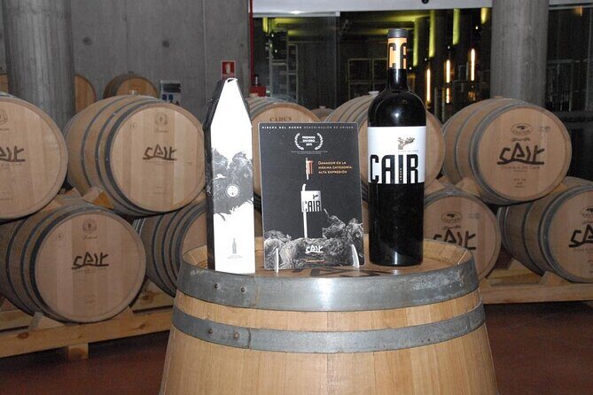 Private Wine Tasting And Visit Tour in Ribera Duero - Stop 1: First Winery Visit in Ribera del Duero (Tinto Fino Focus)