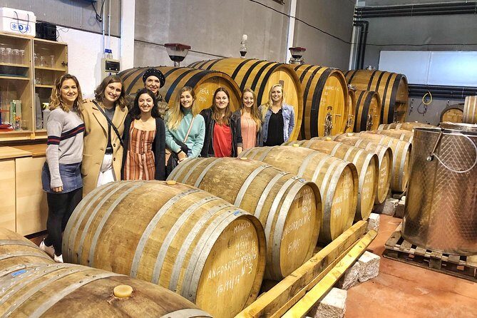 Private Winery Tour near Madrid with Sommelier (6-hour) - Hotel Pickup, a 9:00 Start, and the Pace You Need