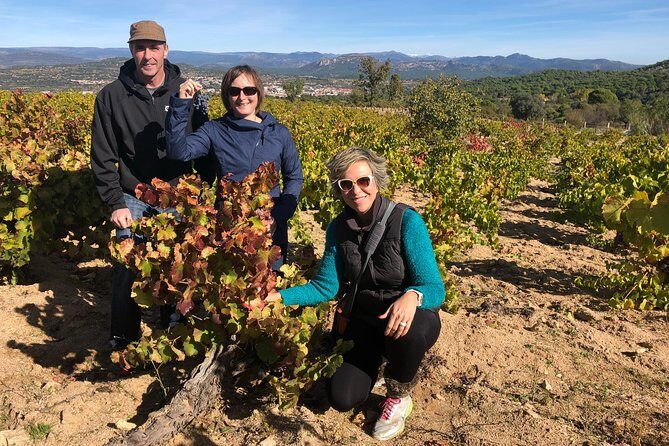 Private Winery Tour near Madrid with Sommelier (6-hour) - Stop 1 in Belmonte de Tajo: Vines, Terroir Talk, and an Outdoors-First Tasting