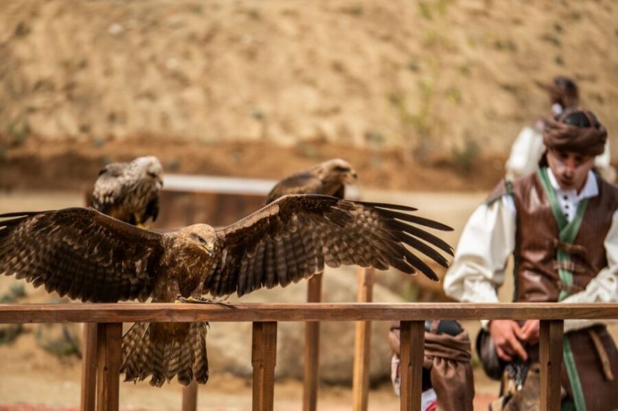 Puy du Fou España Entry Ticket - Ticket value: is $34 a good deal for this kind of day?