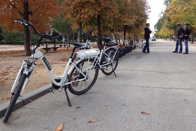 Retiro Park bike tour- Get transported to the XVI century - The value question: is $42.06 worth it?