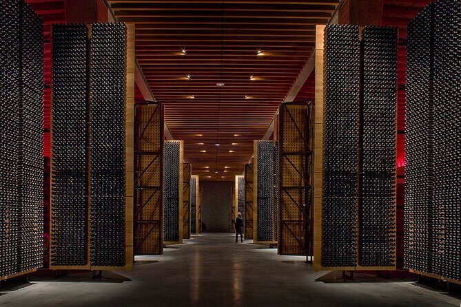 Ribera and Rioja Wineries Private Tour from Madrid - Key highlights you’ll care about