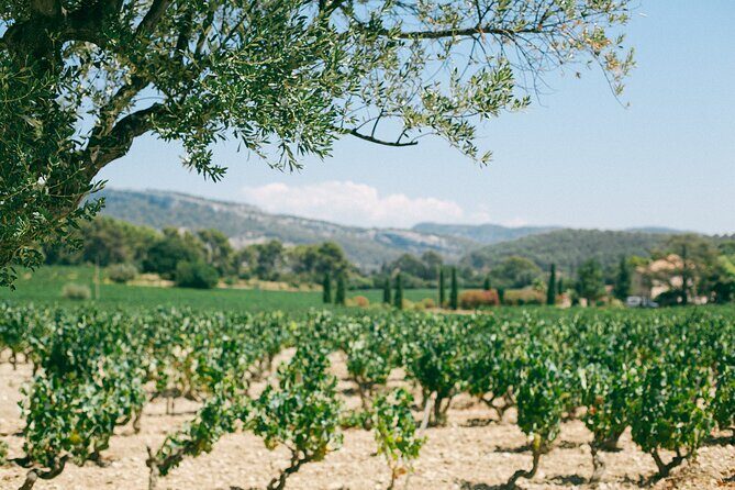 Ribera and Rioja Wineries Private Tour from Madrid - Included vs Not Included: Plan Around the Missing Pieces