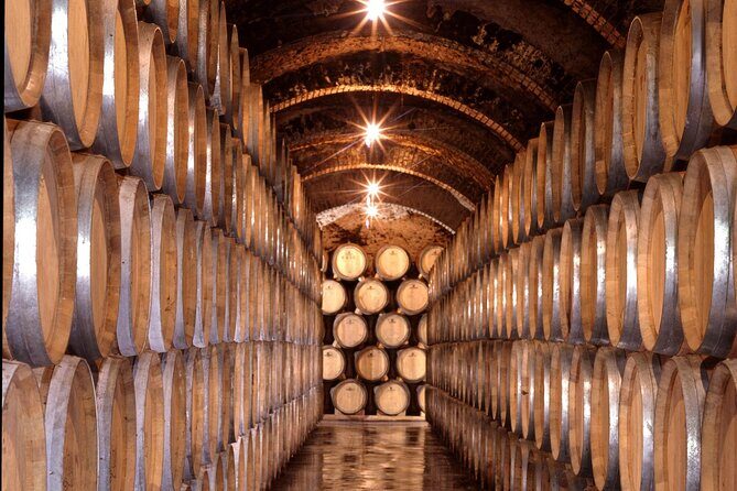 Ribera del Duero & Rueda Wine Tour with Tasting from Madrid - Guides, radio system, and how to make the most of the tastings