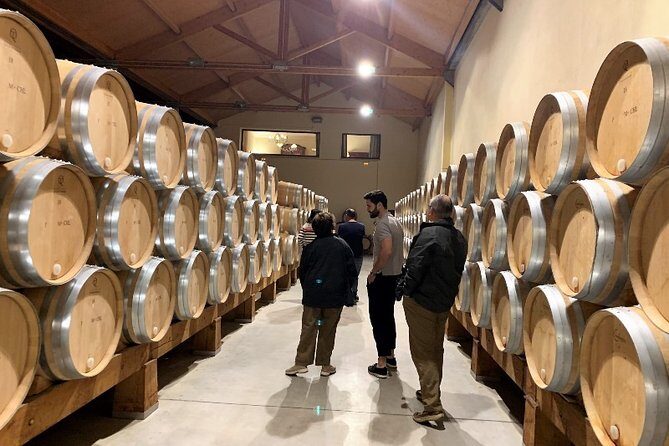 Ribera del Duero Small Group Tour: Tapas & Wine Tasting - Getting from Madrid to Ribera del Duero without the headache