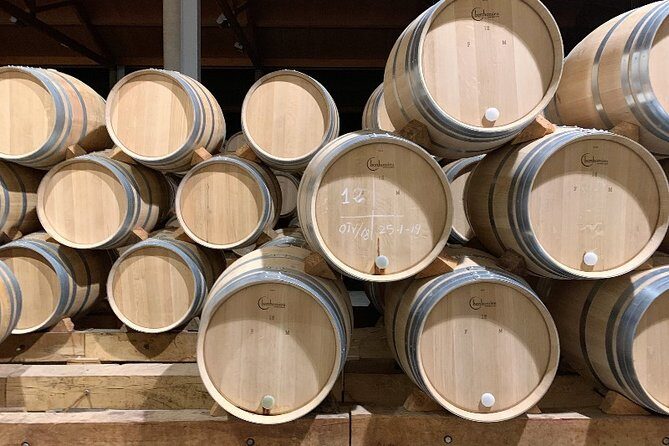 Ribera del Duero Small Group Tour: Tapas & Wine Tasting - How the guide turns tastings into real understanding