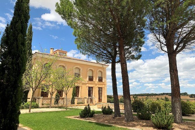 Ribera del Duero Small Group Tour: Tapas & Wine Tasting - Lunch at the winery: snacks, tapas, and what’s on the plate
