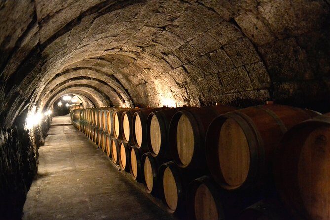 Ribera del Duero Small Group Tour: Tapas & Wine Tasting - The 4-winery structure and why it’s better than “one stop and done”