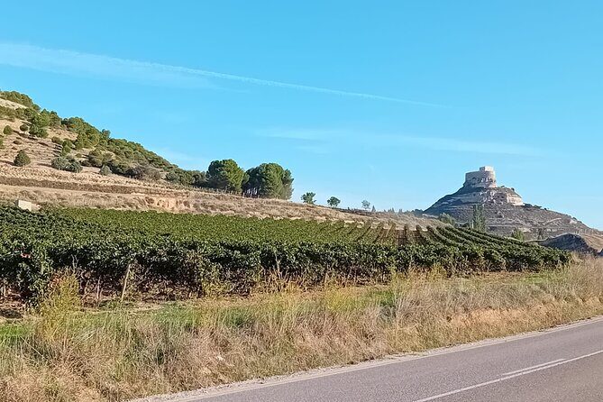 Ribera del Duero Tour: Three Wineries and Lunch from Madrid - Stop 3 with an independent winemaker: smaller production and varied tasting