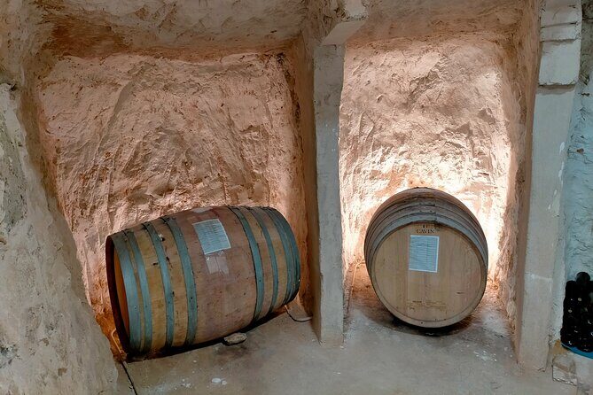 Ribera del Duero Tour: Three Wineries and Lunch from Madrid - What the tastings add up to (and how to handle them comfortably)