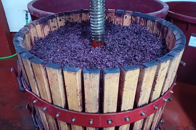 Ribera del Duero Tour: Three Wineries and Lunch from Madrid - Who should book this tour (and who should consider something else)