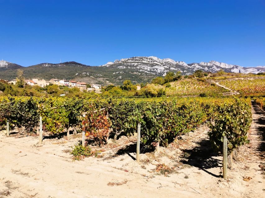 Ribera del Duero wine region private tour - Key points I’d prioritize before booking