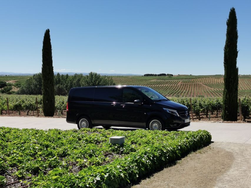 Ribera del Duero wine region private tour - Ribera del Duero from Madrid: what the day is really about