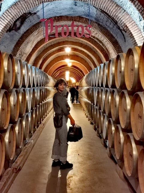 Ribera del Duero wine region private tour - Stop 1: a modern winery, avant-garde architecture, and barrel choices in the subway cellar