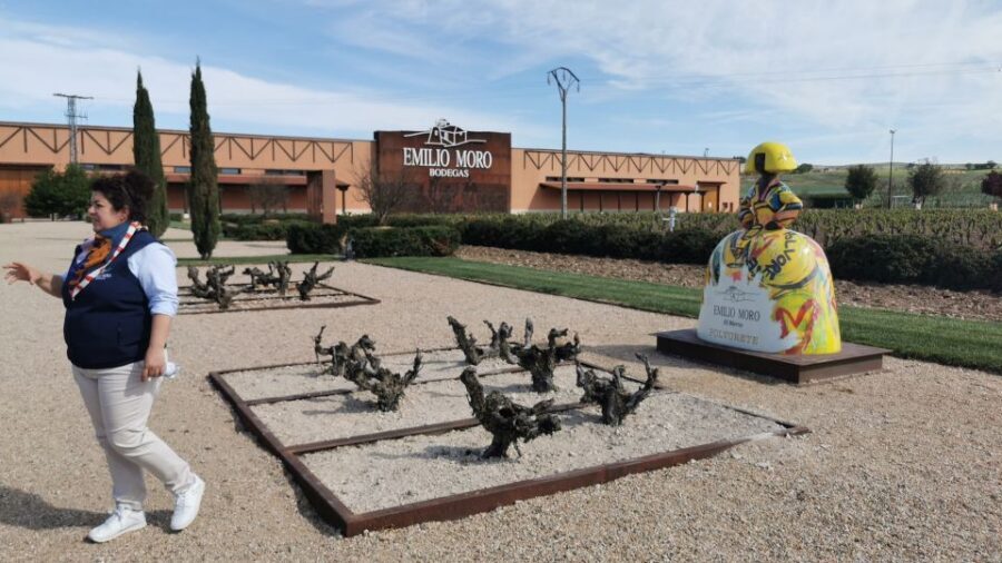 Ribera del Duero wine region private tour - Stop 2: a family winery, 16th-century roots, and the Ribera D.O. cellar world