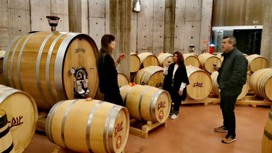 Ribera del Duero wine region private tour - What you actually get for $412 per person