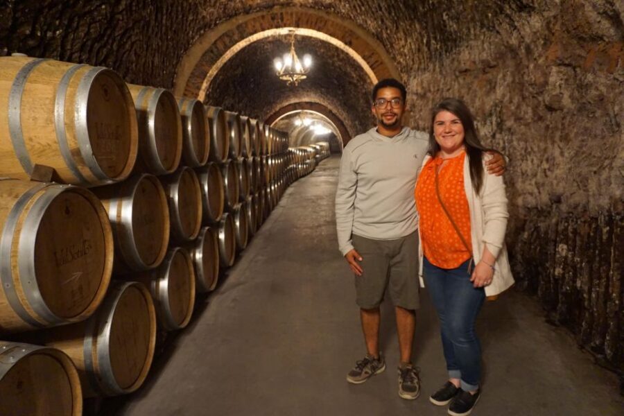 Ribera del Duero wine region private tour - Private group pacing: when this tour fits best